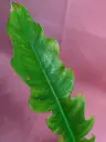 20260915042632.webp